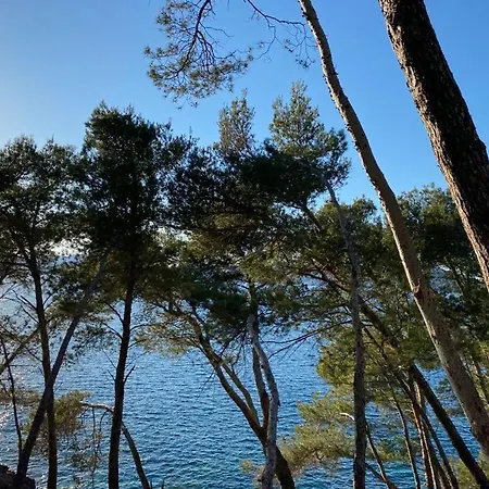Oleanda Lägenhet Can Picafort (Mallorca)